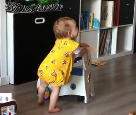 Lapin rouleur ou escabeau