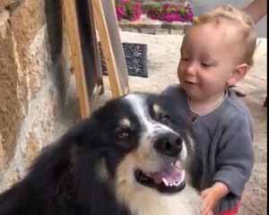 Gros calin au chien